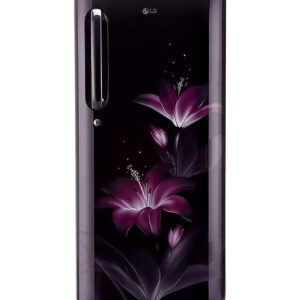 Samsung 215 L, 5 Star, Digital Inverter, Direct-Cool Single Door Refrigerator