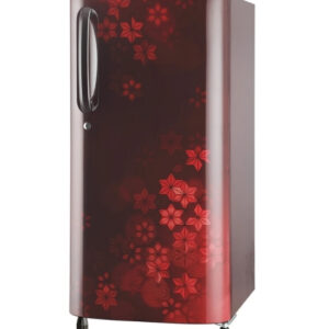LG 242 L 3 Star Smart Inverter Frost-Free Double Door Refrigerator